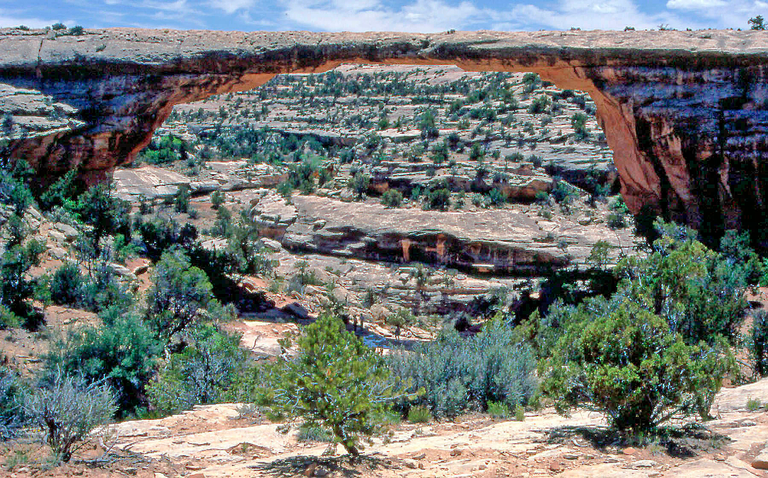 Natural Bridges National Monument