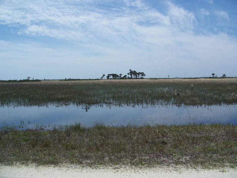 Kissimmee Prairie Preserve State Park