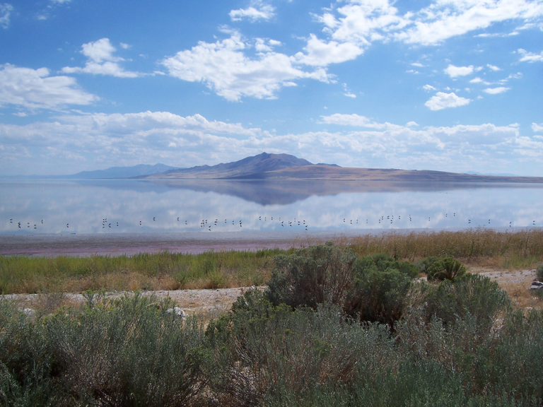 Antelope Island State Park