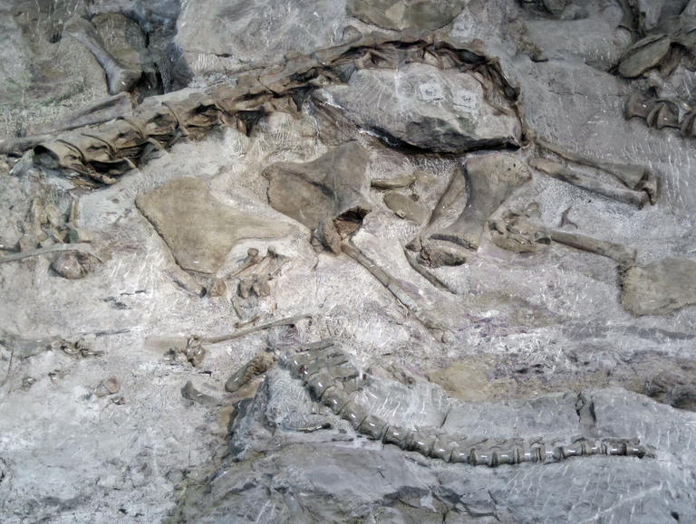 Dinosaur National Monument