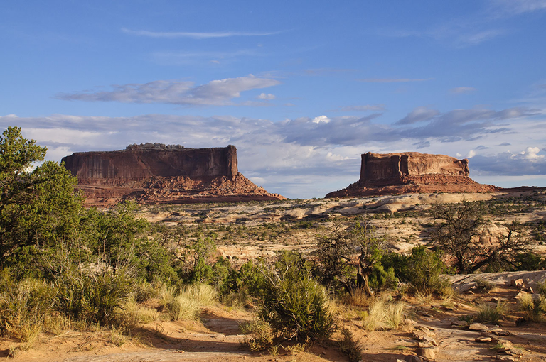 Under Canvas Moab dark-sky location