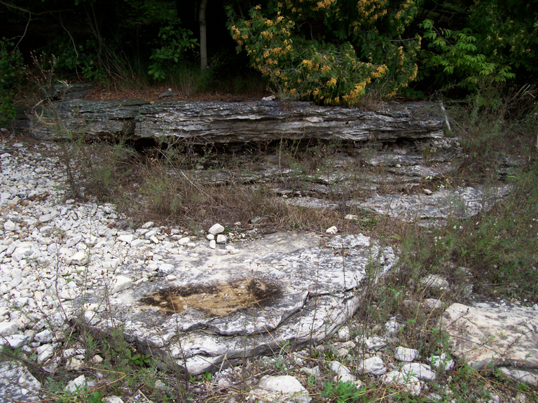 Newport State Park