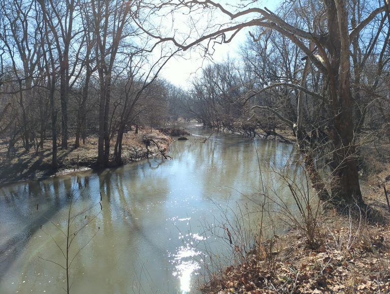 Middle Fork River Forest Preserve dark-sky location