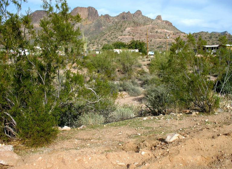Apache Junction Municipal Complex dark-sky location
